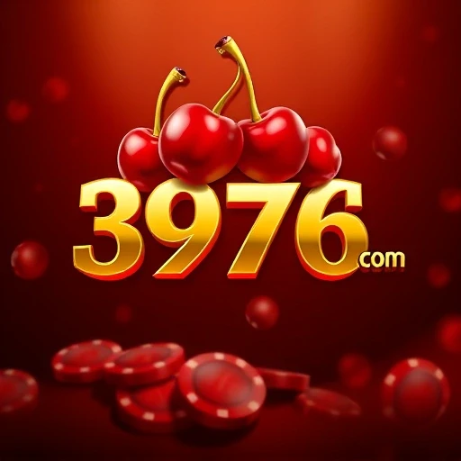 3976.com
